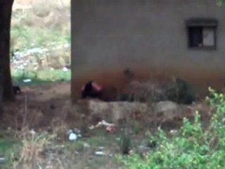 Desi Lady Pissing Behind Her House 2